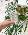White Sage Smudge Stick