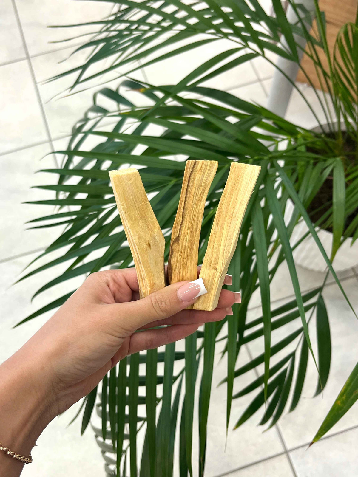 Palo Santo